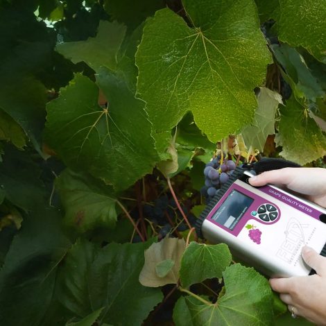 F-751 Grape Quality Meter roncsolásmentes szőlőminőség-mérő